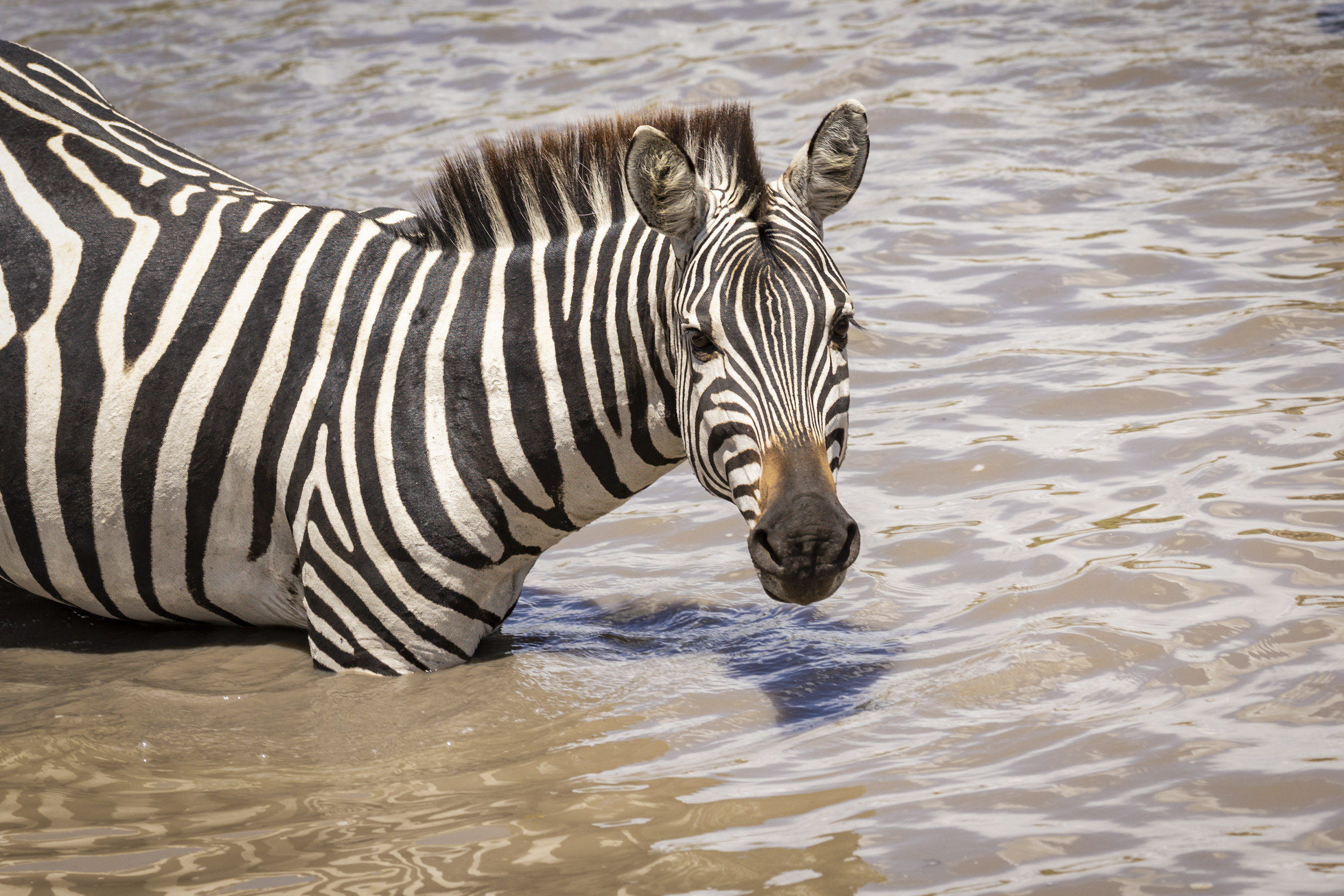 November 11, 2022-113413-2-Edit.jpg